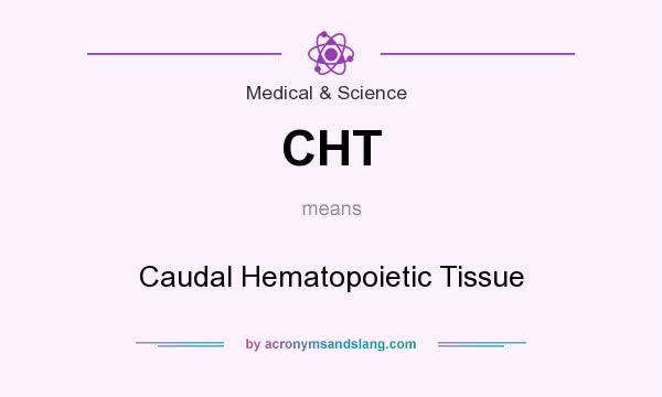 What does CHT mean? It stands for Caudal Hematopoietic Tissue