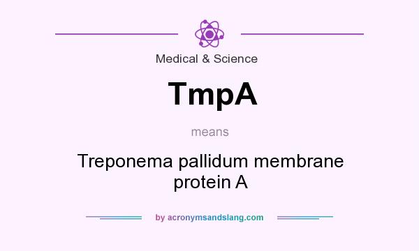 What does TmpA mean? It stands for Treponema pallidum membrane protein A
