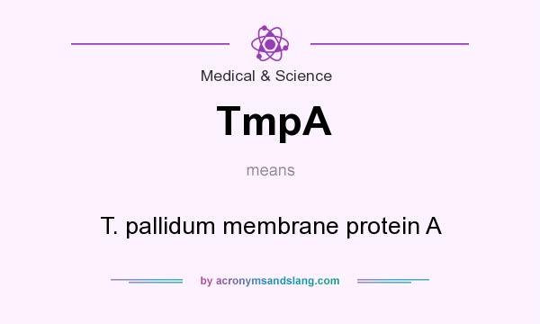 What does TmpA mean? It stands for T. pallidum membrane protein A
