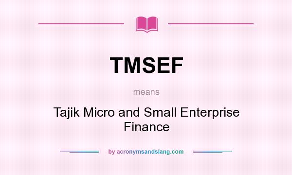 What does TMSEF mean? It stands for Tajik Micro and Small Enterprise Finance