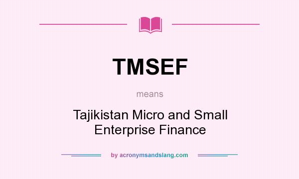 What does TMSEF mean? It stands for Tajikistan Micro and Small Enterprise Finance