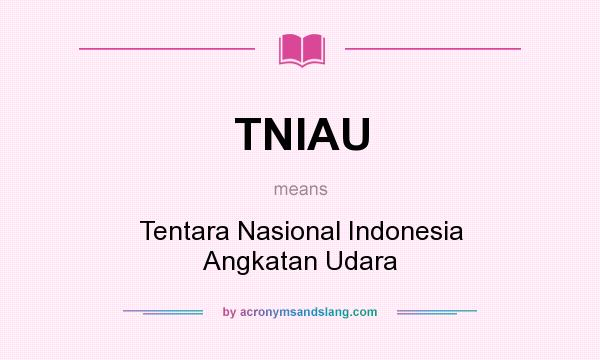 What does TNIAU mean? It stands for Tentara Nasional Indonesia Angkatan Udara
