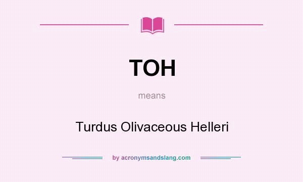 What does TOH mean? It stands for Turdus Olivaceous Helleri