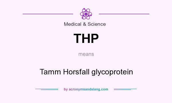 What does THP mean? It stands for Tamm Horsfall glycoprotein