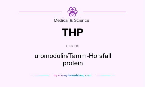 What does THP mean? It stands for uromodulin/Tamm-Horsfall protein