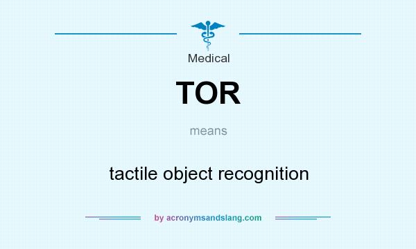 What does TOR mean? It stands for tactile object recognition