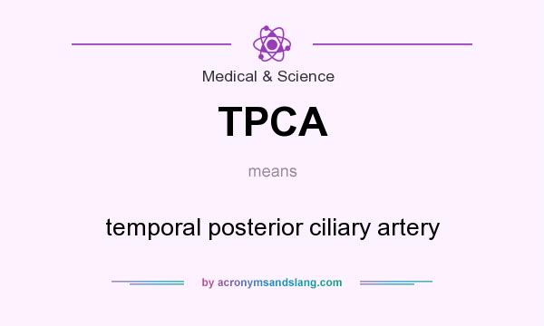 What does TPCA mean? It stands for temporal posterior ciliary artery