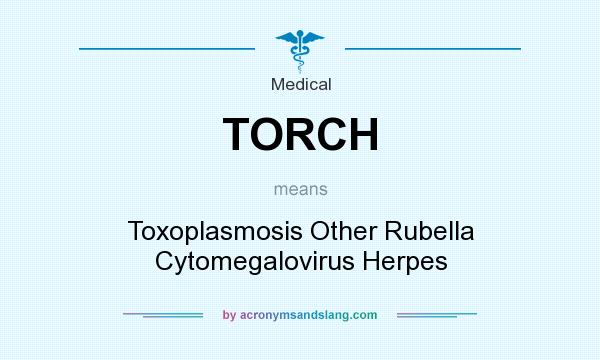 What does TORCH mean? It stands for Toxoplasmosis Other Rubella Cytomegalovirus Herpes