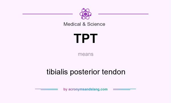 What does TPT mean? It stands for tibialis posterior tendon