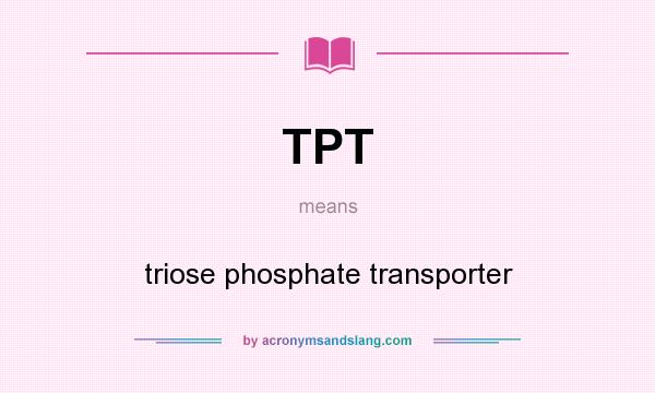 What does TPT mean? It stands for triose phosphate transporter