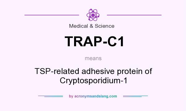 What does TRAP-C1 mean? It stands for TSP-related adhesive protein of Cryptosporidium-1