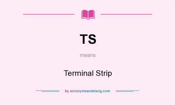 What does TS mean? It stands for Terminal Strip
