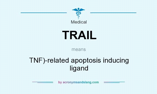 What does TRAIL mean? It stands for TNF)-related apoptosis inducing ligand