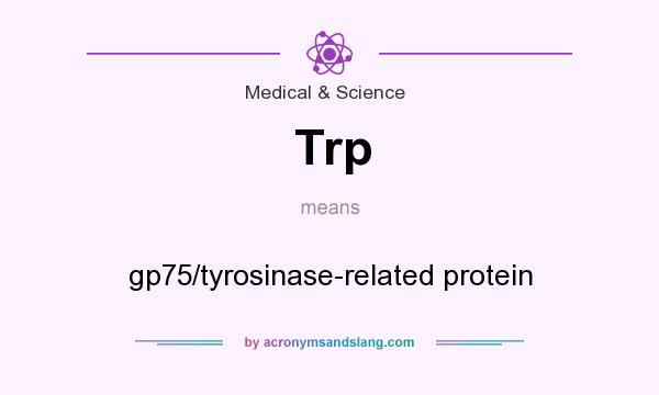 What does Trp mean? It stands for gp75/tyrosinase-related protein