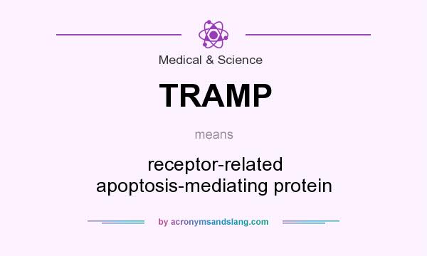 What does TRAMP mean? It stands for receptor-related apoptosis-mediating protein