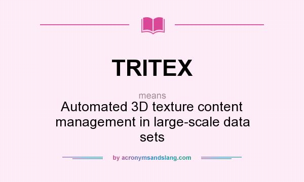What does TRITEX mean? It stands for Automated 3D texture content management in large-scale data sets