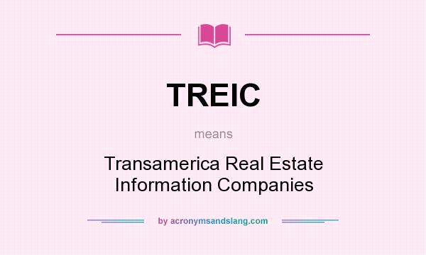 What does TREIC mean? It stands for Transamerica Real Estate Information Companies