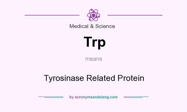 What does Trp mean? It stands for Tyrosinase Related Protein
