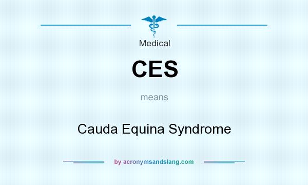 What does CES mean? It stands for Cauda Equina Syndrome