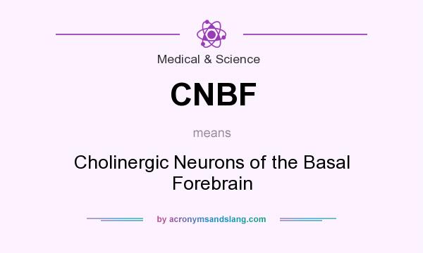 What does CNBF mean? It stands for Cholinergic Neurons of the Basal Forebrain