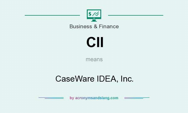 What does CII mean? It stands for CaseWare IDEA, Inc.