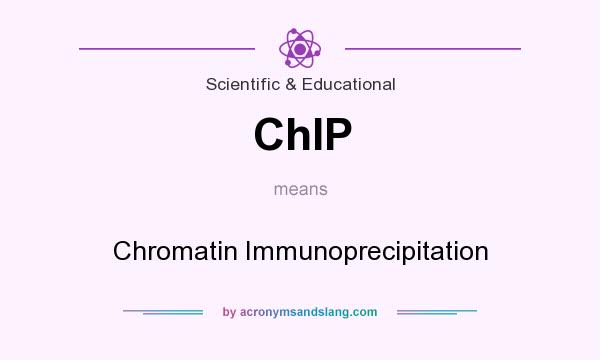 What does ChIP mean? It stands for Chromatin Immunoprecipitation