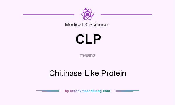 What does CLP mean? It stands for Chitinase-Like Protein