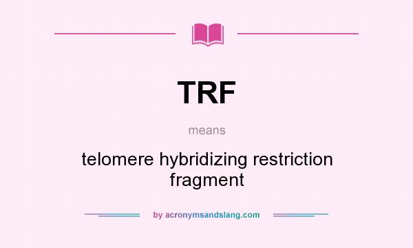 What does TRF mean? It stands for telomere hybridizing restriction fragment