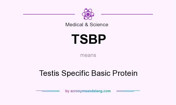 What does TSBP mean? It stands for Testis Specific Basic Protein