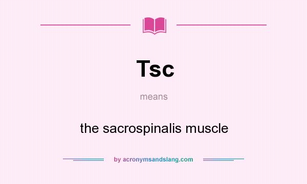 What does Tsc mean? It stands for the sacrospinalis muscle
