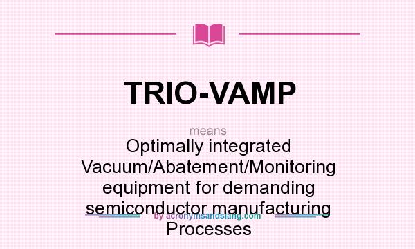 What does TRIO-VAMP mean? It stands for Optimally integrated Vacuum/Abatement/Monitoring equipment for demanding semiconductor manufacturing Processes