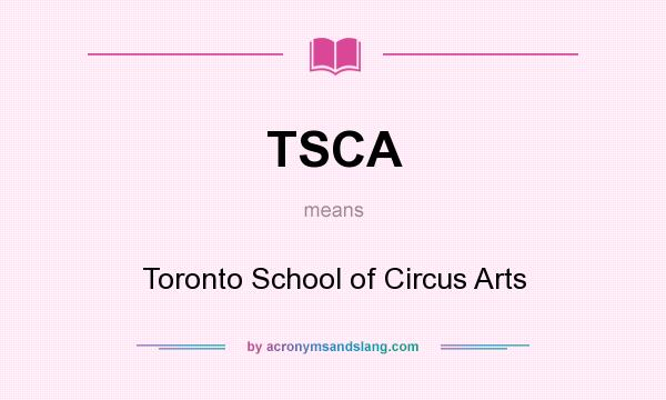 What does TSCA mean? It stands for Toronto School of Circus Arts
