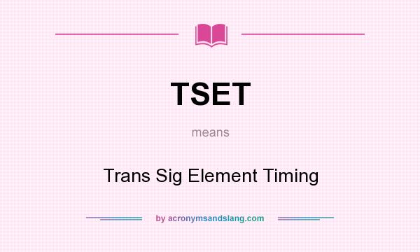 What does TSET mean? It stands for Trans Sig Element Timing