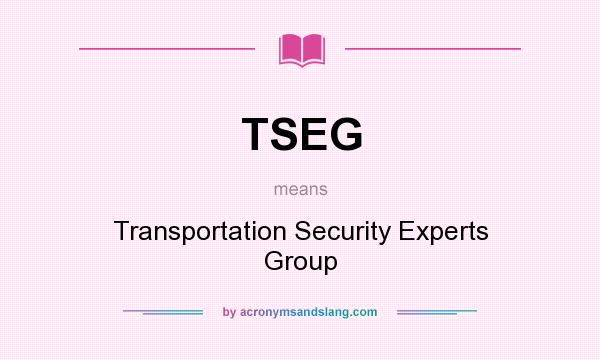 What does TSEG mean? It stands for Transportation Security Experts Group