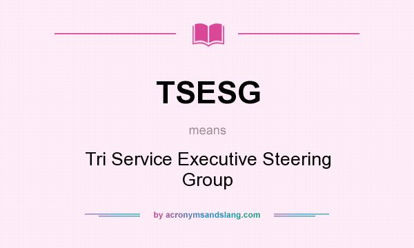 What does TSESG mean? It stands for Tri Service Executive Steering Group