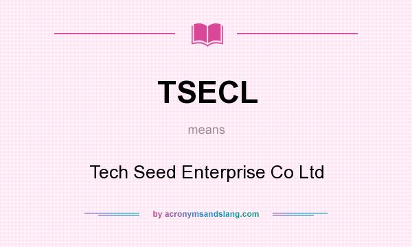 What does TSECL mean? It stands for Tech Seed Enterprise Co Ltd