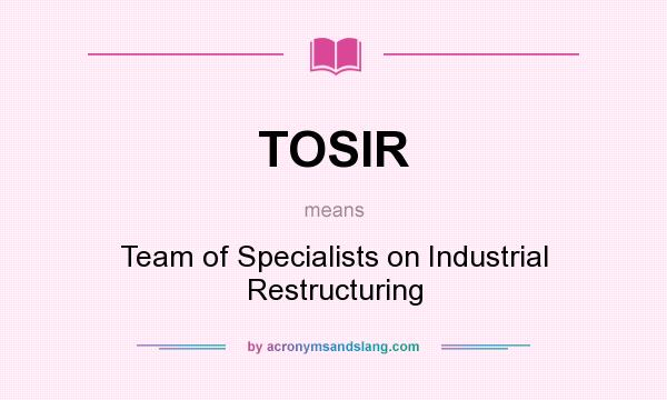 What does TOSIR mean? It stands for Team of Specialists on Industrial Restructuring