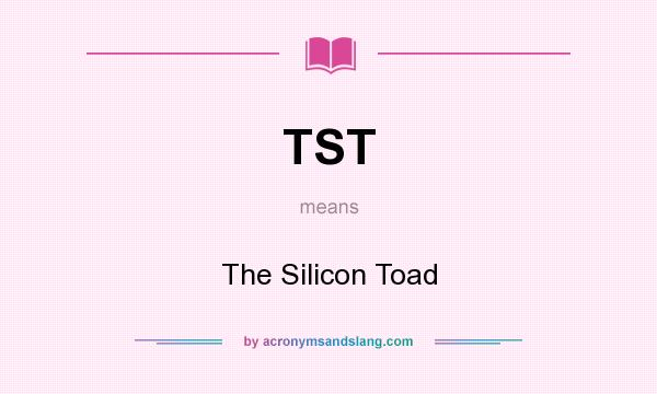 What does TST mean? It stands for The Silicon Toad
