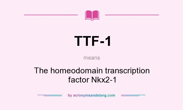 What does TTF-1 mean? It stands for The homeodomain transcription factor Nkx2-1