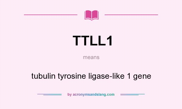 What does TTLL1 mean? It stands for tubulin tyrosine ligase-like 1 gene