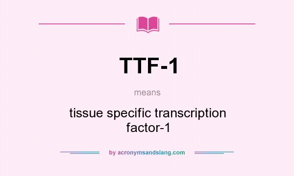 What does TTF-1 mean? It stands for tissue specific transcription factor-1