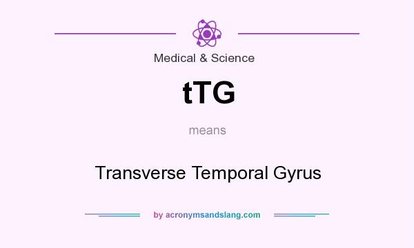 What does tTG mean? It stands for Transverse Temporal Gyrus