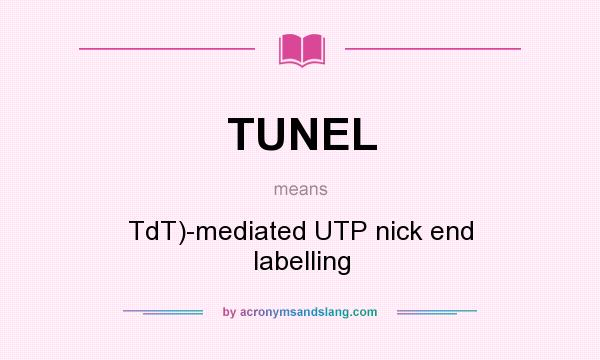 What does TUNEL mean? It stands for TdT)-mediated UTP nick end labelling