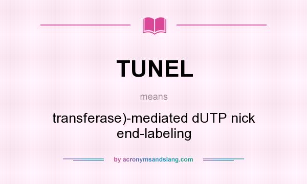 What does TUNEL mean? It stands for transferase)-mediated dUTP nick end-labeling