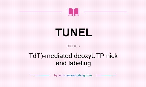 What does TUNEL mean? It stands for TdT)-mediated deoxyUTP nick end labeling
