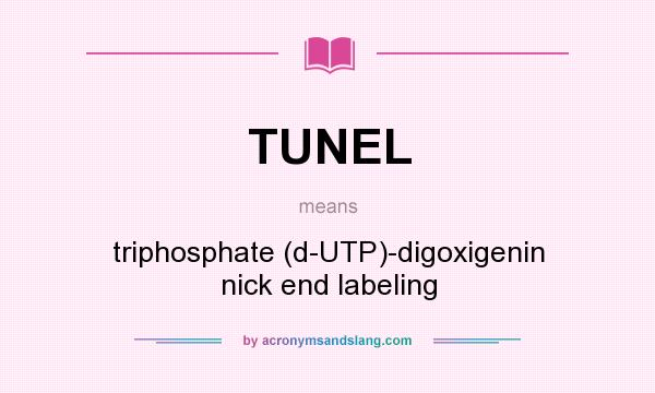 What does TUNEL mean? It stands for triphosphate (d-UTP)-digoxigenin nick end labeling