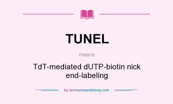 What does TUNEL mean? It stands for TdT-mediated dUTP-biotin nick end-labeling