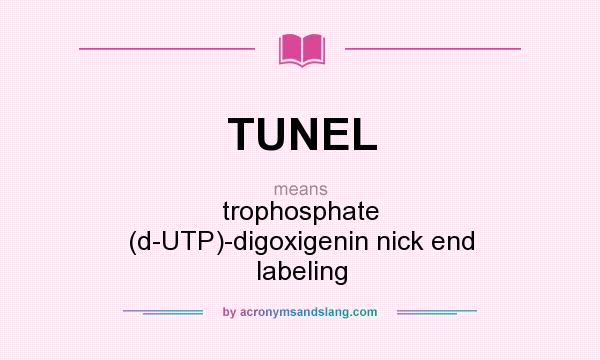 What does TUNEL mean? It stands for trophosphate (d-UTP)-digoxigenin nick end labeling