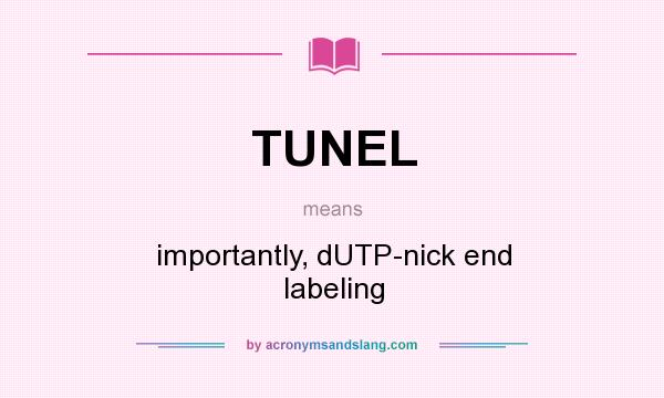 What does TUNEL mean? It stands for importantly, dUTP-nick end labeling