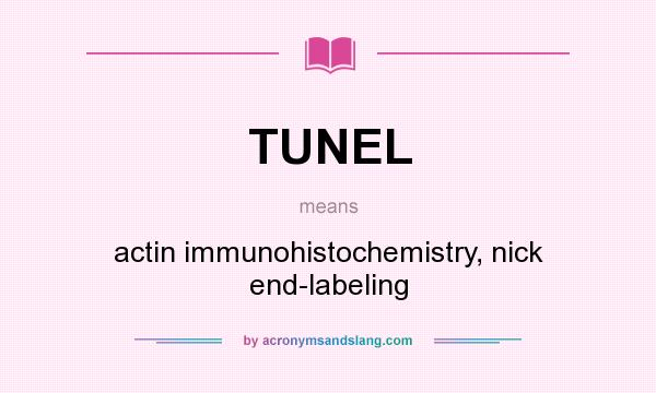 What does TUNEL mean? It stands for actin immunohistochemistry, nick end-labeling